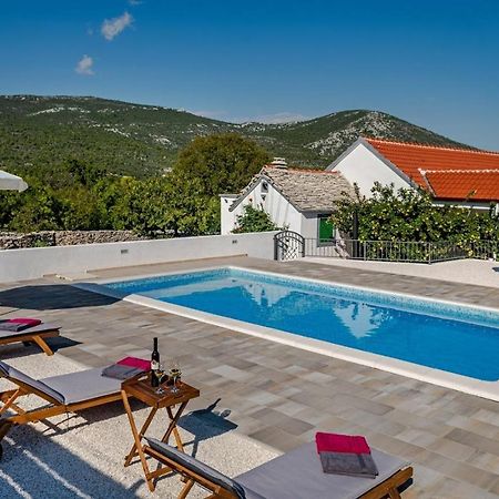Villa House Camellia With Fenced Pool And Playground Blizna Donja Esterno foto