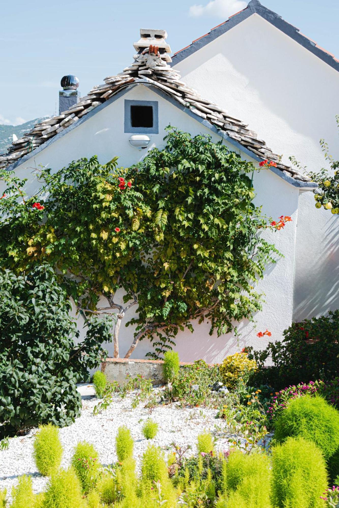 Villa House Camellia With Fenced Pool And Playground Blizna Donja Esterno foto